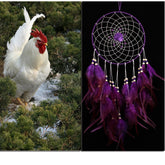 Purple Rose Dream Catcher